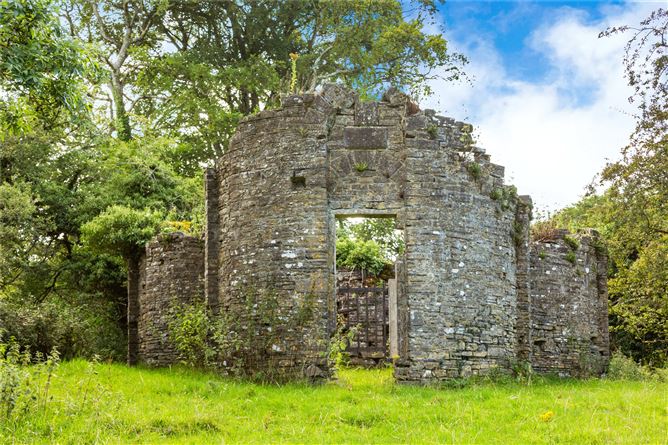 Ballindoolin House On C.238acres, Carbury, Co. Kildare