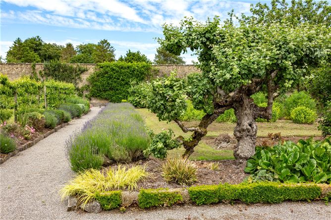 Ballindoolin House On C.238acres, Carbury, Co. Kildare
