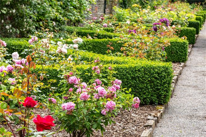 Ballindoolin House On C.238acres, Carbury, Co. Kildare