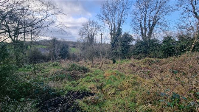 Lisnabuntry, Virginia, Co. Cavan