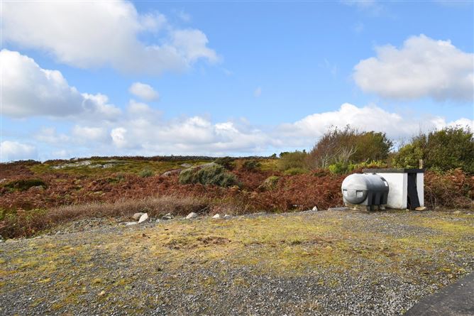 Scailp An Chait, Inverin, Co. Galway