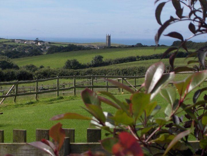Cheristow Orchard,Hartland, Devon, United Kingdom