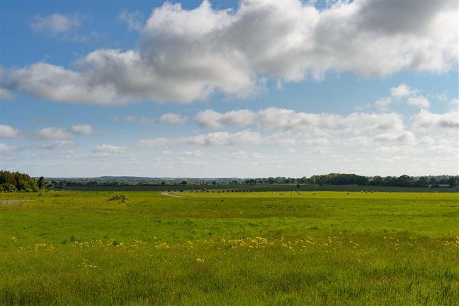 Screggan, Tullamore, Co. Offaly