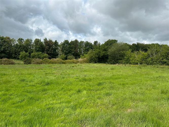 Twin Oaks, Kilbreedy, Killenaule, Tipperary