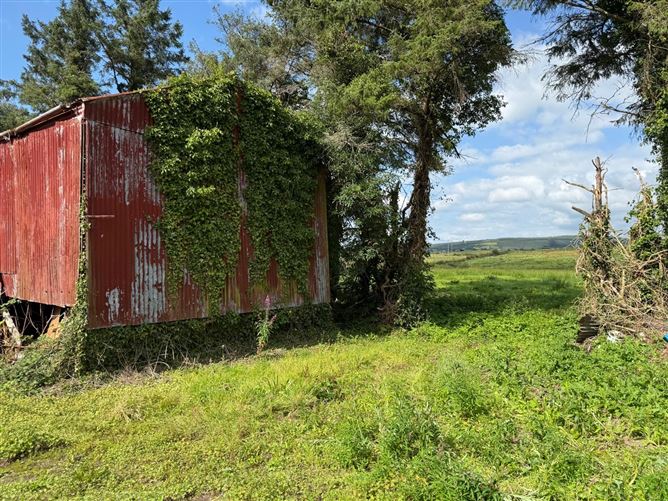 Carrowgarve, Balla, Castlebar, Mayo