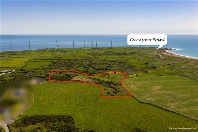 Photo 9 of 15 — c. 5.2 Acres at Lane Of Stones, Carne, Our Lady's Island, Wexford