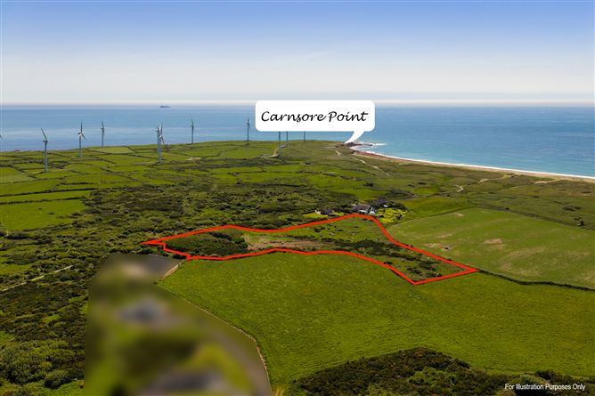 Photo 10 of 15 — c. 5.2 Acres at Lane Of Stones, Carne, Our Lady's Island, Wexford