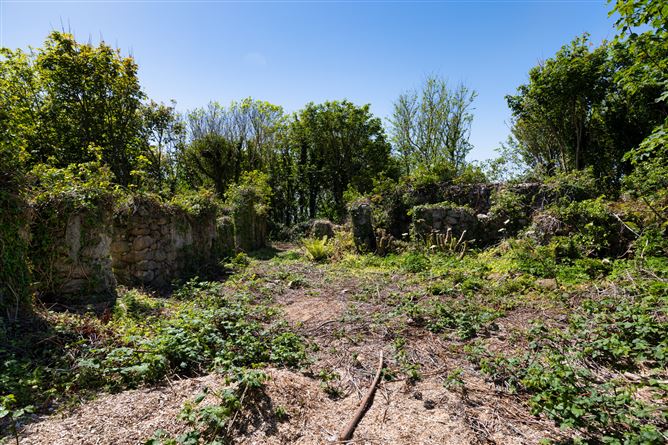 Photo 6 of 15 — c. 5.2 Acres at Lane Of Stones, Carne, Our Lady's Island, Wexford