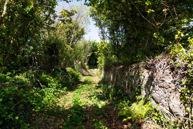 c. 5.2 Acres at Lane Of Stones, Carne, Our Lady's Island, Wexford