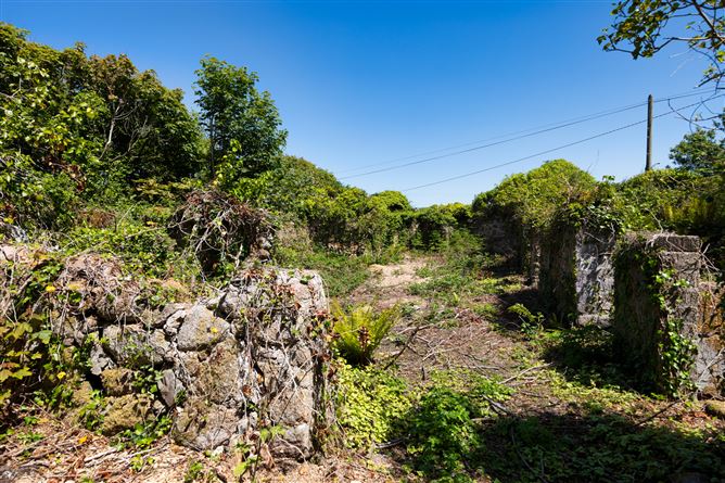 Photo 5 of 15 — c. 5.2 Acres at Lane Of Stones, Carne, Our Lady's Island, Wexford