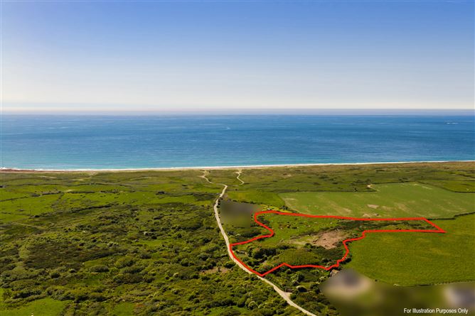 Photo 11 of 15 — c. 5.2 Acres at Lane Of Stones, Carne, Our Lady's Island, Wexford