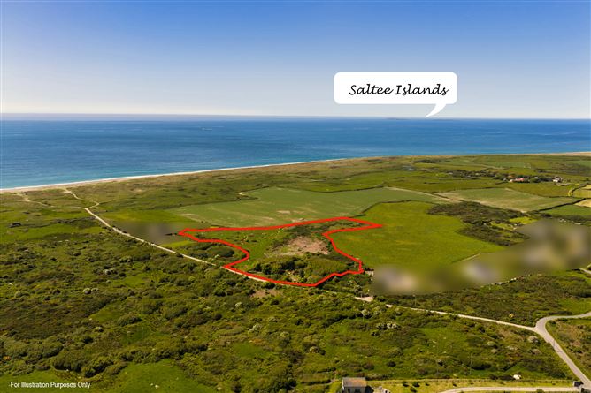 Photo 12 of 15 — c. 5.2 Acres at Lane Of Stones, Carne, Our Lady's Island, Wexford