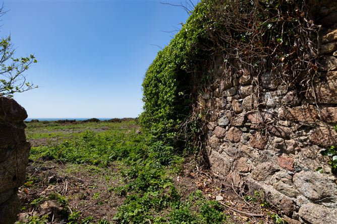 Photo 7 of 15 — c. 5.2 Acres at Lane Of Stones, Carne, Our Lady's Island, Wexford