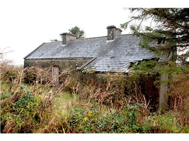 Farm for sale in Mayo - MyHome.ie