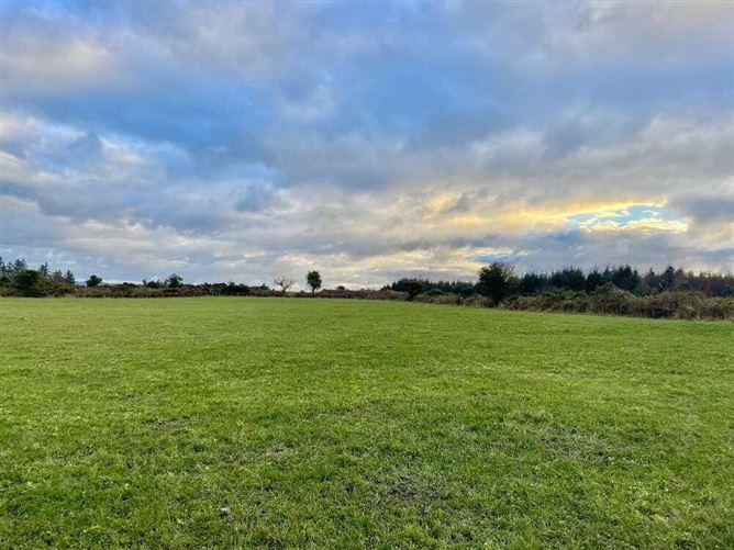 Ballynoe, East, Cappoquin, Waterford