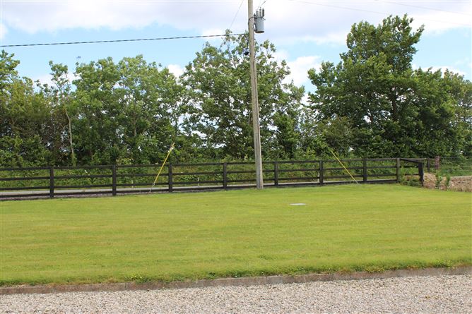 Ballinamona, The Ballagh, Wexford