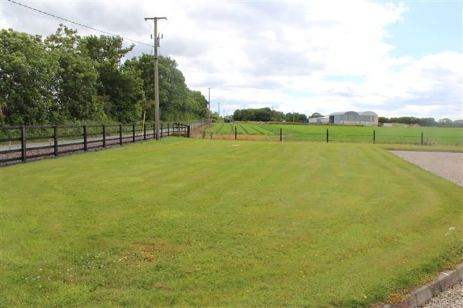 Ballinamona, The Ballagh, Wexford