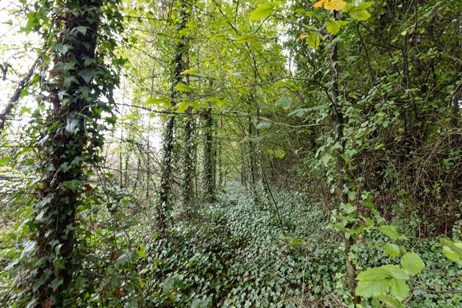 Thurstianstown, Beauparc, Navan, Co. Meath