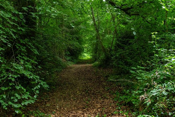 Moyaliffe, Ballycahill, Thurles, Co. Tipperary on 12 acres / 4.85ha