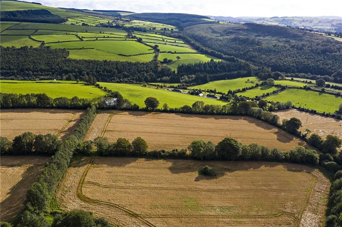 Lot 2 - East Land, Aughrim, Co. Wicklow