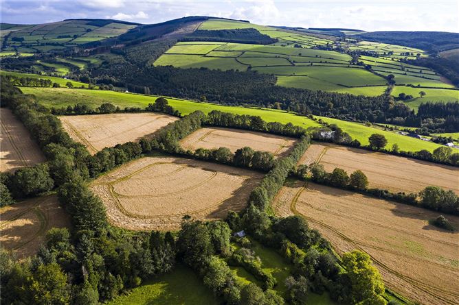 Lot 2 - East Land, Aughrim, Co. Wicklow