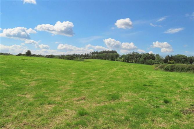Lacka Lower, Broadford, Limerick