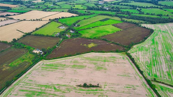 c. 52.39 Acres / 21.2 Ha, Timard, Maynooth, Co. Kildare