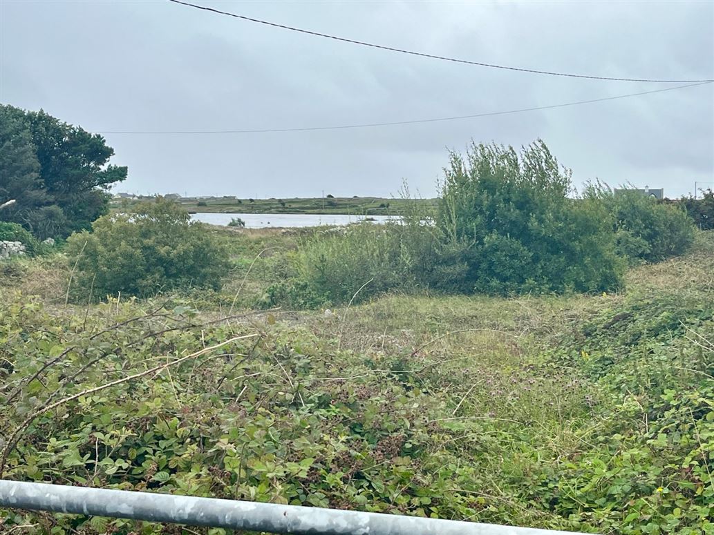 Bantrach, Ballynahown, Co. Galway