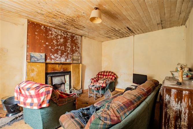 Tonashammer, Ballymanus, Castlepollard, Westmeath