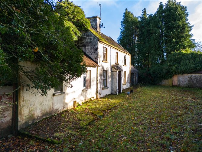 Tonashammer, Ballymanus, Castlepollard, Westmeath