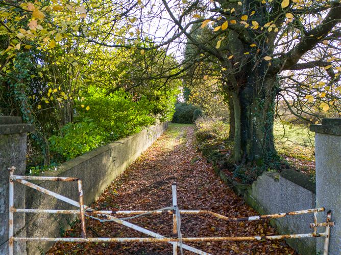 Tonashammer, Ballymanus, Castlepollard, Westmeath