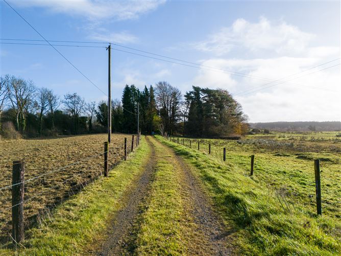Tonashammer, Ballymanus, Castlepollard, Westmeath