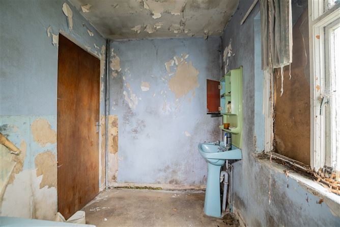 Tonashammer, Ballymanus, Castlepollard, Westmeath