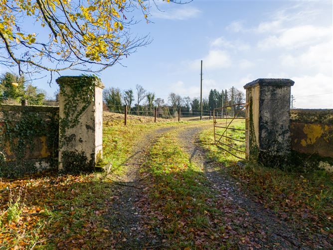 Tonashammer, Ballymanus, Castlepollard, Westmeath