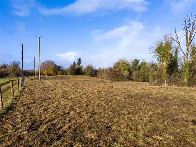 Tonashammer, Ballymanus, Castlepollard, Westmeath