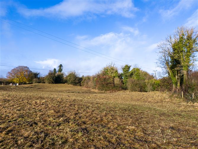 Tonashammer, Ballymanus, Castlepollard, Westmeath