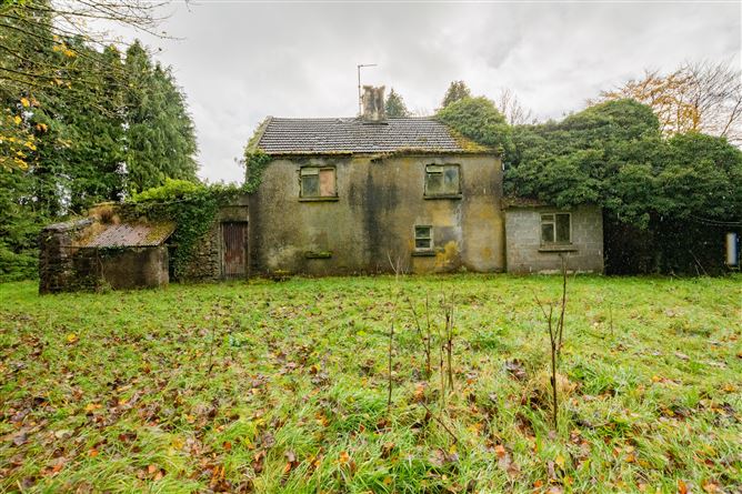 Tonashammer, Ballymanus, Castlepollard, Westmeath