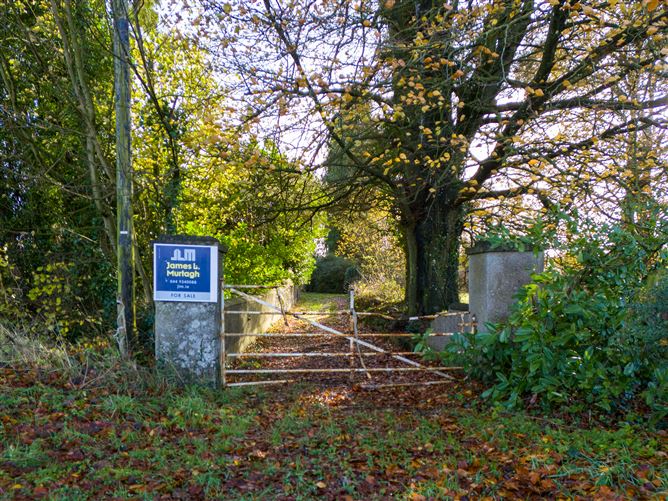 Tonashammer, Ballymanus, Castlepollard, Westmeath