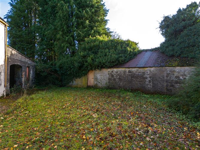 Tonashammer, Ballymanus, Castlepollard, Westmeath