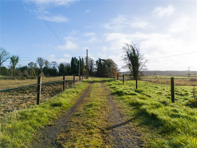 Tonashammer, Ballymanus, Castlepollard, Westmeath