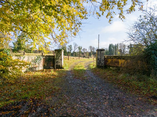 Tonashammer, Ballymanus, Castlepollard, Westmeath