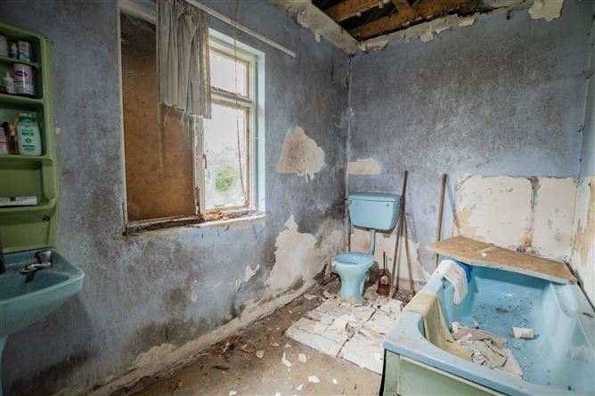 Tonashammer, Ballymanus, Castlepollard, Westmeath