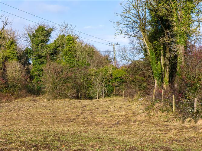 Tonashammer, Ballymanus, Castlepollard, Westmeath