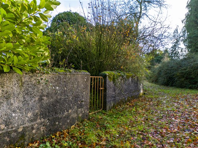 Tonashammer, Ballymanus, Castlepollard, Westmeath