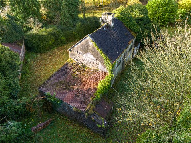 Tonashammer, Ballymanus, Castlepollard, Westmeath