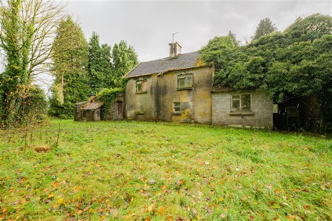 Tonashammer, Ballymanus, Castlepollard, Westmeath