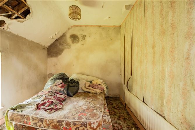 Tonashammer, Ballymanus, Castlepollard, Westmeath