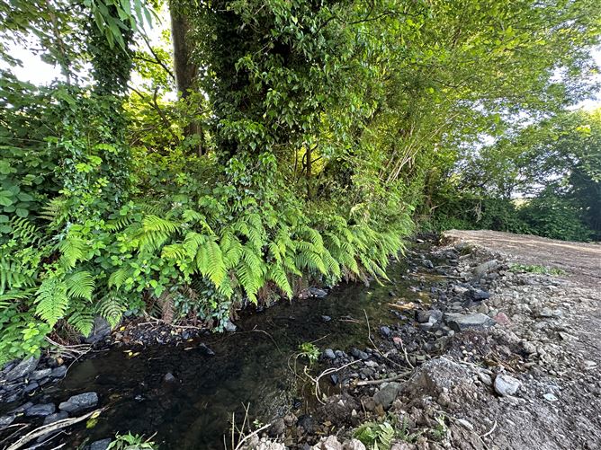Sheetrim, Monaghan Town, Monaghan