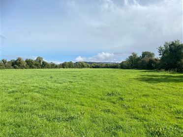 Image for c. 11 Acres, Fodeens, Kill, Kildare