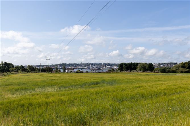 "Oakland", Crosstown, Wexford Town, Wexford